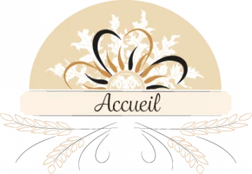 accueil noir 400