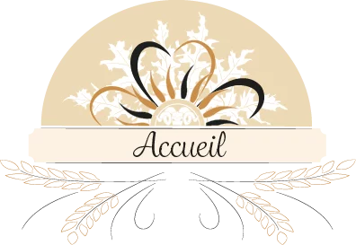 accueil noir 400