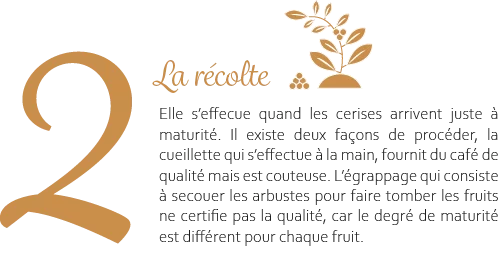 la récolte 1.25
