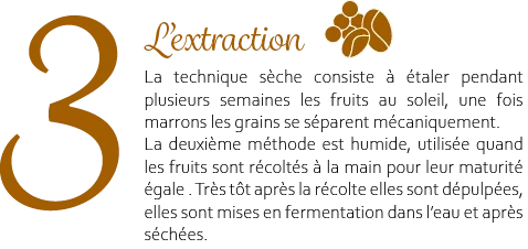 l'extraction 1.3