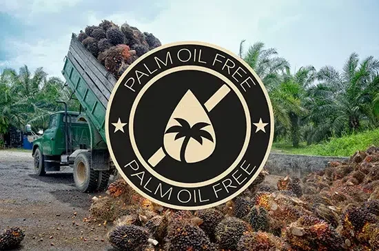palm oil free 550